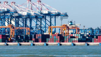 8月进出口增速双降,政策托底外贸仍具韧性