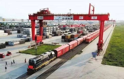 海关重拳出击 拒绝“洋垃圾”，宁波海关退运超600吨禁入废纸