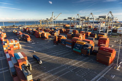防疫物资力挺中国出口增1.4%，6月或告别外需“至暗时刻”